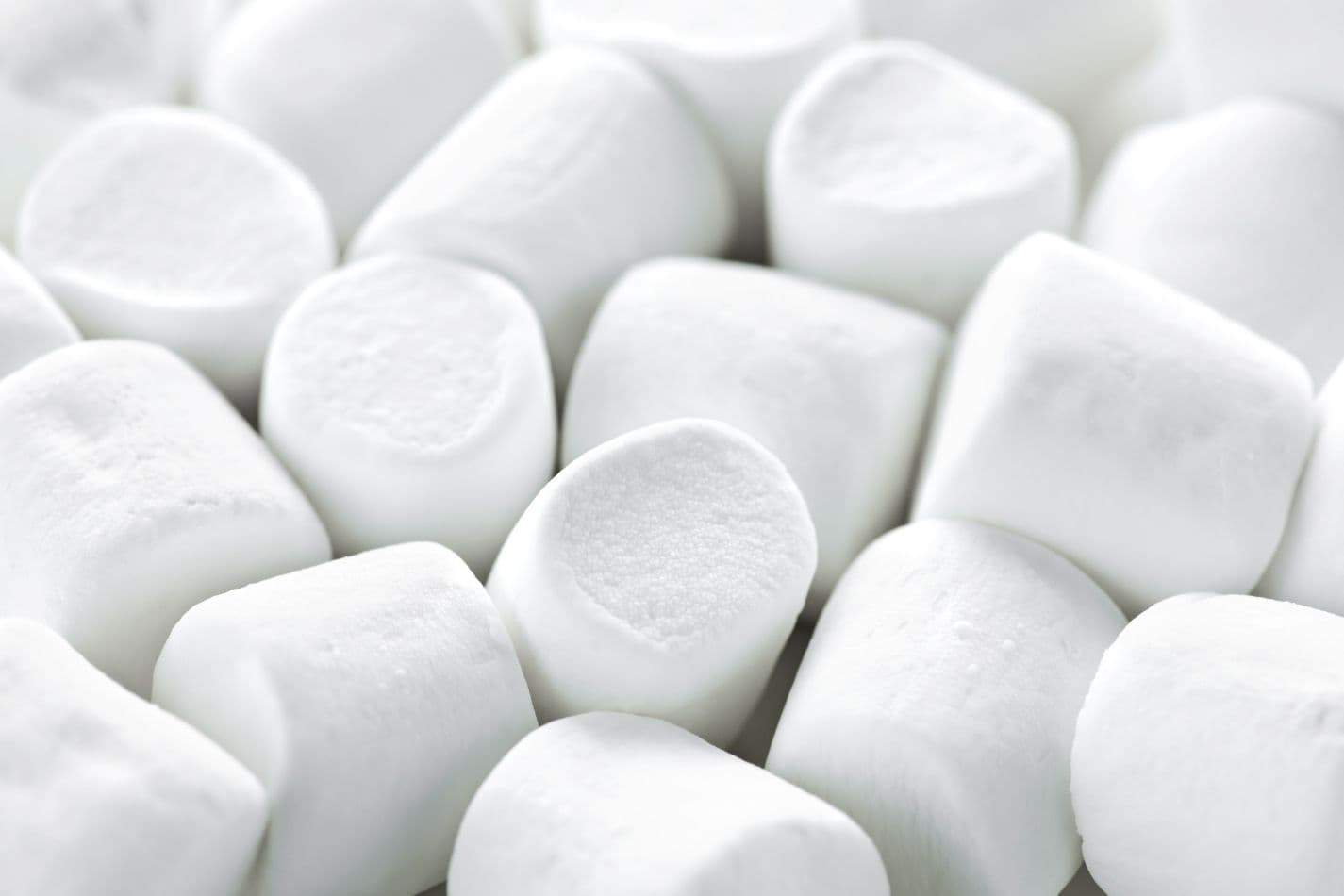 Kill Moles With Marshmallows (Our Tips)