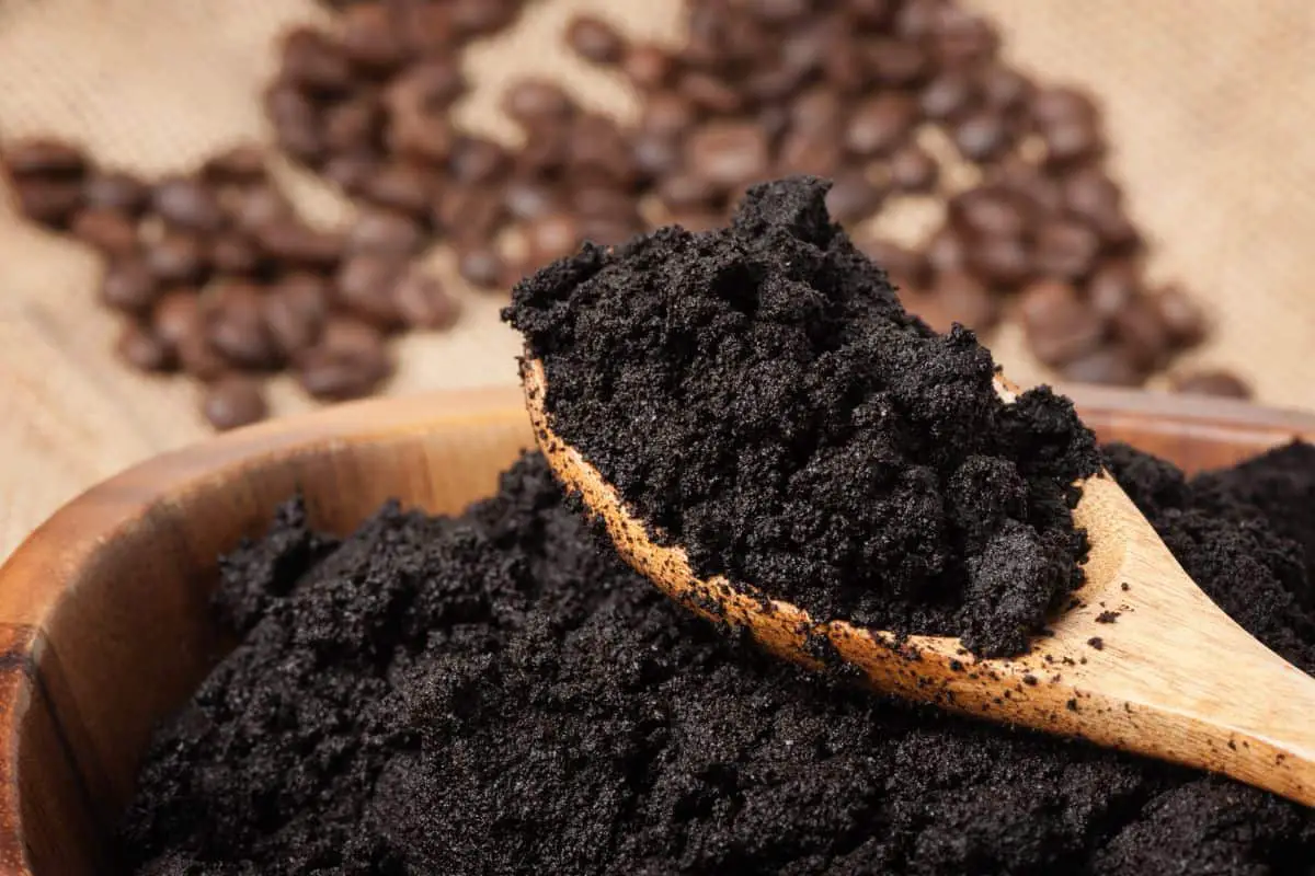 Do Coffee Grounds Repel Voles?